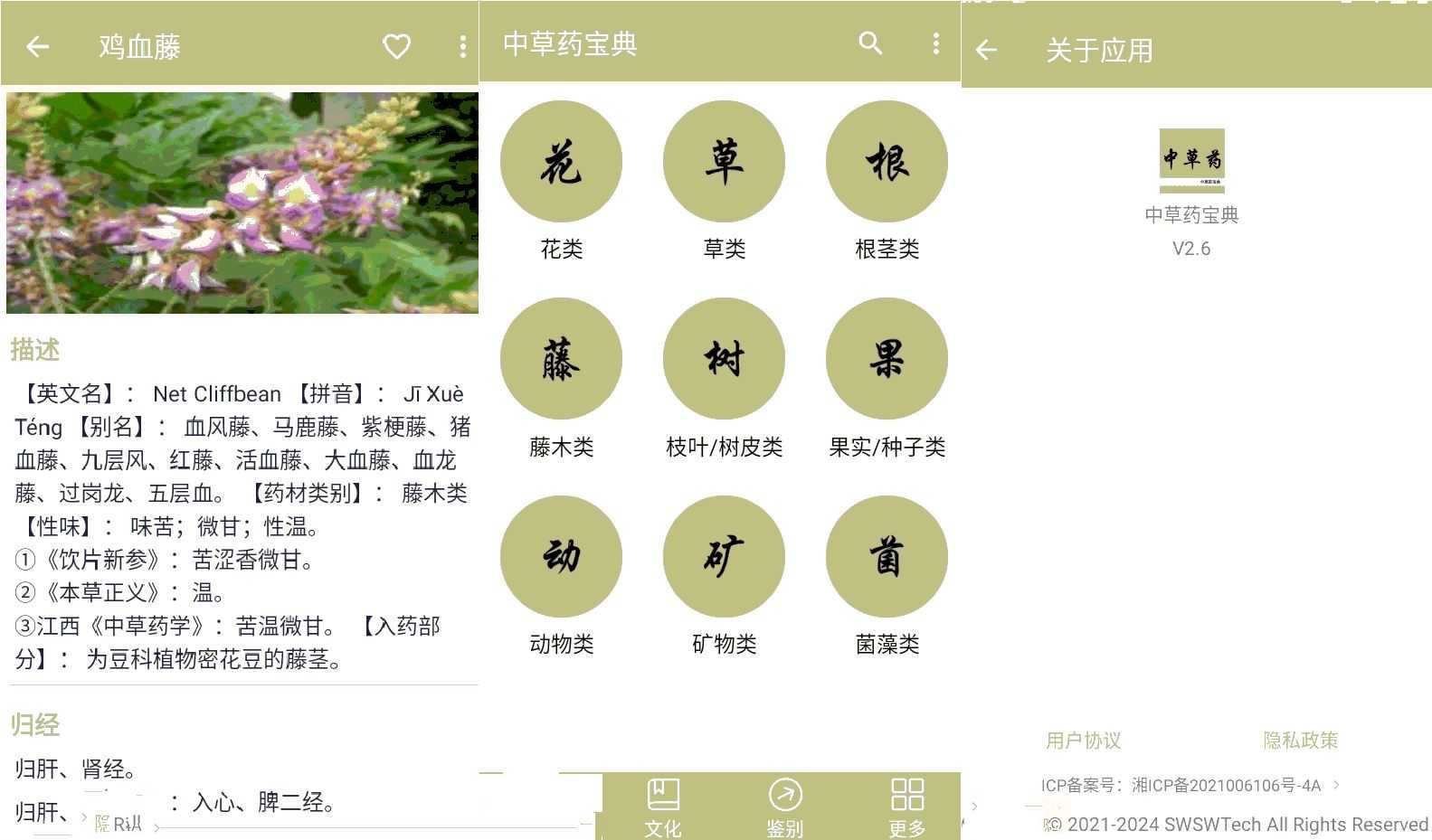 安卓中草药宝典 V2.6上千种中草药知识学习